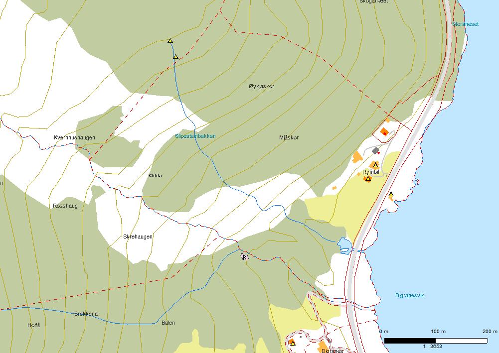 Figur 11. Klebersteinsbrudd på sørsiden av Digraneselvi ved høydekote 40 m.