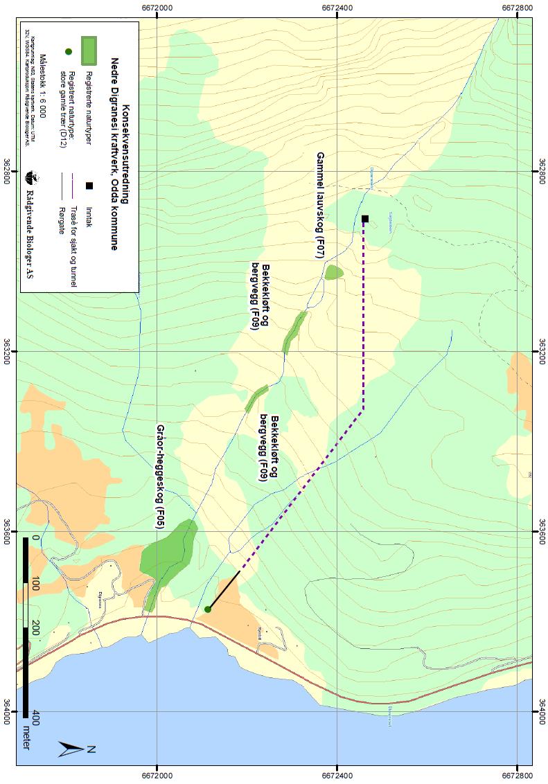 VEDLEGG 2: AVGRENSEDE NATURTYPER I TILTAKSOMRÅDET TIL