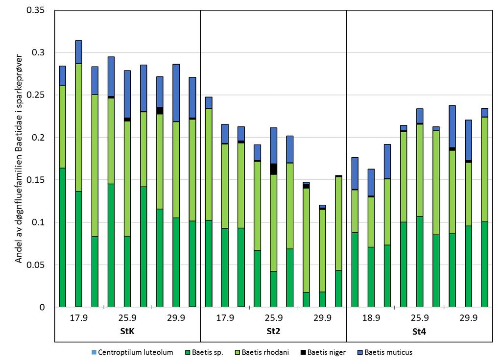 Figur 9. Relative forekomst av arter innen døgnfluefamilien Baetidae i sparkeprøver på StK, St2 og St4 i Glitra i forbindelse med kloraminbehandlingen, september 2017. Figur 10.