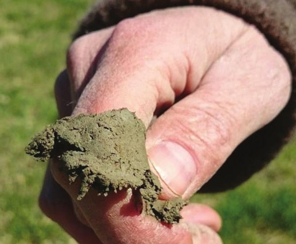 Sandig silt* * NOEN FÅ SANDKORN KAN FØLES Myrjord bør helst arbeides med når den er så tørr som mulig. Myrjord kan inneholde mye vann, og kan være ustabil ved flytting.