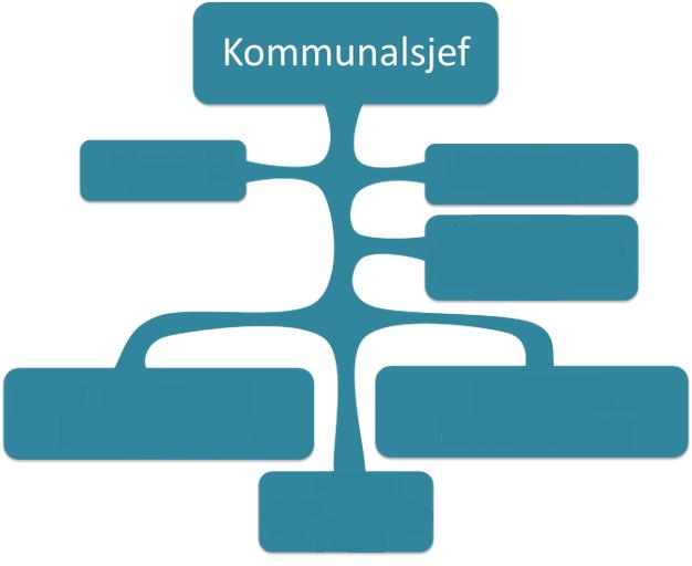 Hva er en organisasjon? Organisasjon vs.