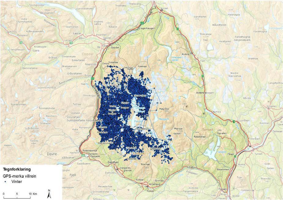 Odd Arne Rønning, Nytrøa, har dispensasjon til å kjøre opp skiløype med snøskuter i Gløtdalen, delvis langs elva Gløta og/eller langs veien til Finnhaugan i Knutshø landskapsvernområde, 3 turer i