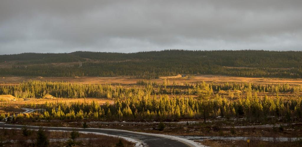 2 Områdebeskrivelse 2.1 Generelt om AFS Angrepsfelt sør i Regionfeltet, også kalt AFS, er et viktig område for skyting med stridsvogn og andre kjøretøy med våpen.