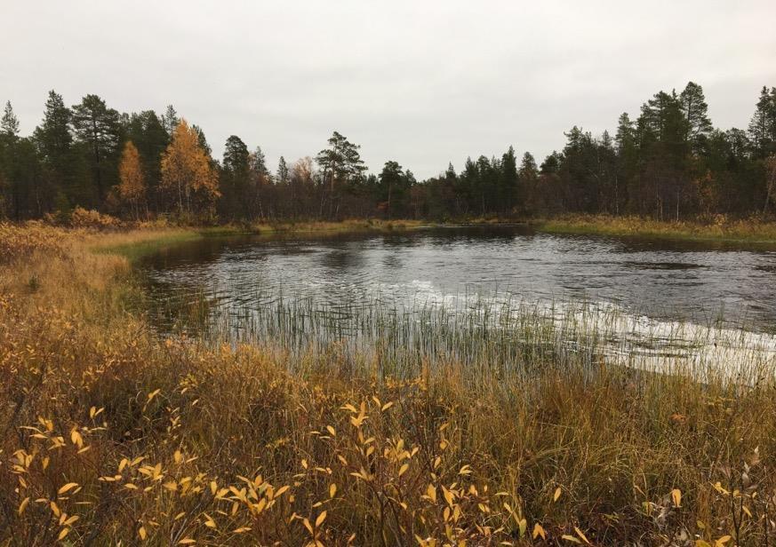 B6 Beskrivelse: Dyp og mørk kulp. Dårlig sikt i kulpen på befaringstidspunktet medførte at snorkling ble kun gjennomført langs land og ved utløpet/brekket av kulpen.