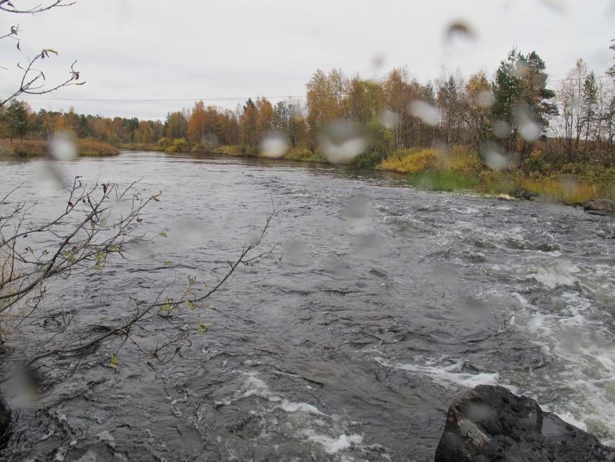 C4 og C5 Beskrivelse: Sterk strøm i innløpet til kulpen. Mye skjul fra gress og annen bunnvegetasjon finnes. Dyp og mørk kulp som ikke ble snorklet grunnet veldig dårlig sikt.