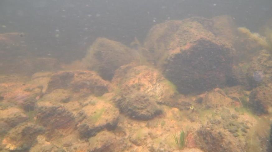 finsediment og makrovegetasjon. Foto: Øyvind Haugland. Figur 4.45.