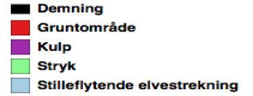 I mer stilleflytende partier og langs land i kulpene vokser makrofytter og annen bunnvegetasjon.