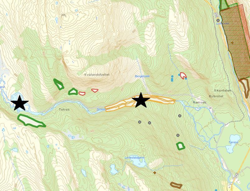 KUNNSKAPSSTATUS BIOLOGISK MANGFOLD OG NATURVERN Evje og Hornnes kommune har gjennomført en førstegangskartlegging av naturtyper etter DNhåndbok 13 (Brandrud mfl. 2005).