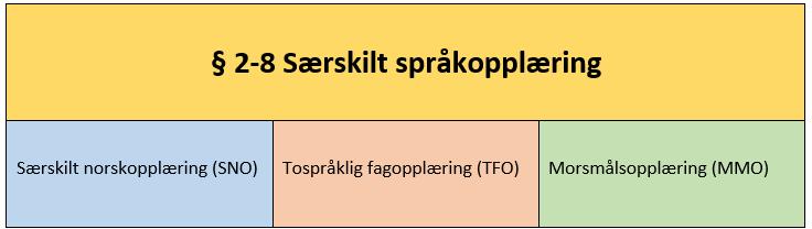 Opplæringsloven i 2-8 sier at Kommunen skal kartlegge hvor mye norsk elevene kan før det blir gjort vedtak om særskilt språkopplæring. Kartlegging skal også utføres underveis i opplæringen.