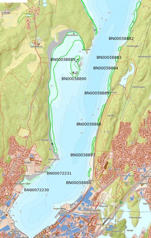 Figur 1. Ålegrasforekomster kartlagt i 2009/2010 og registrert i Naturbase (grønt omriss) i Mossesundet.