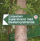6. LINJESTIEN - FØLG SVARTSKOG PÅ LANGS Flott blandingsskog med mange fine naturopplevelser og utsiktspunkter.