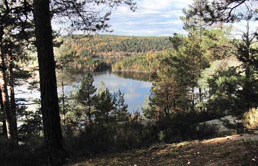 Kolbotnvann og Solbråtan. Stien ender midt i den første bratte delen du gikk opp fra Jordbærsletta. Kulturminner i området: Eidsted.