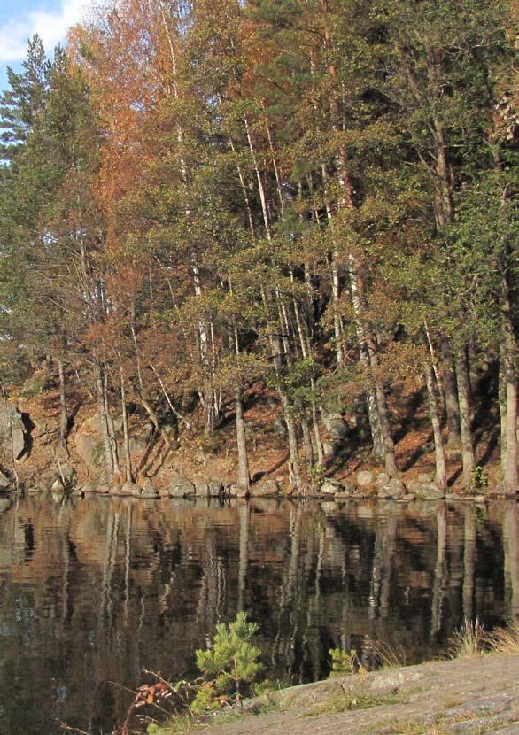 Turoversikt Side 1. Grønliåsen - Oldtidsveien og Den Fredrikshaldske Kongevei 6 2. Slåbråten - Grytebråten - Pinnåsen 8 3. Fløysbonn - Sønsterud - Lysløypa 10 4. Rikeåsen 12 5.