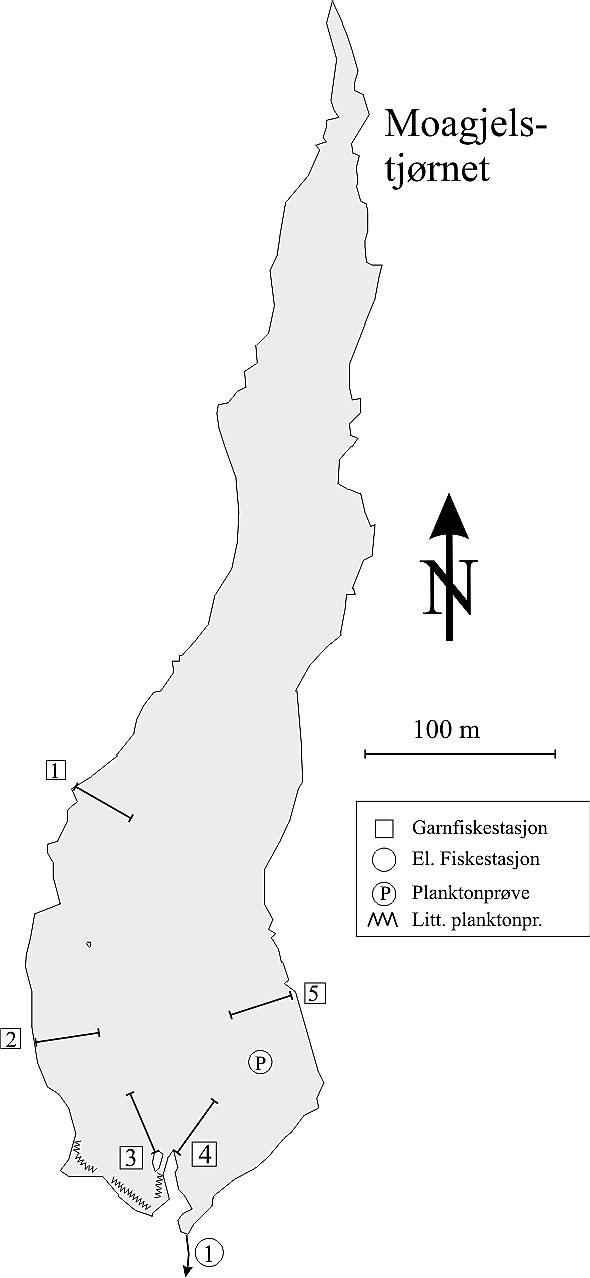 MOAGJELSJØRNET I KVAM INNSJØEN Moagjelstjørnet (LN 9, -), ligger sørvest for Kjerringafjell i Kvam herad. Innsjøen ligger 87 m.o.h. og arealet er ha. Største målte dyp er meter.