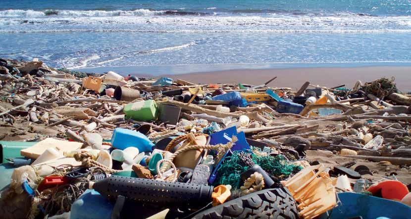 VETROTIME 19 Preko hranidbenog lanca do tanjura Vjetar i valovi razgrađuju komadiće plastike u morima na sve sitnije dijelove koje gutaju najmanja živa bića, a ona su pak hrana drugim životinjama.