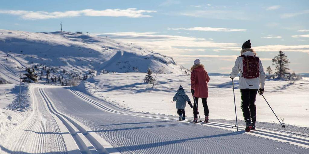 MILEVIS MED SKILØYPER I VAKKERT