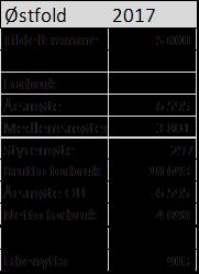 BF Østfolds årsmøte 14. februar 2018: Økonomi Vi har ikke hatt noen aktivitet utover det planlagte i aktivitetsplanen for 2017.