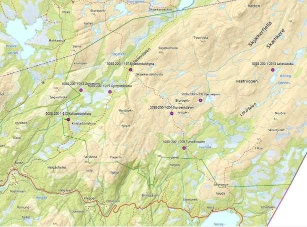 Saksfremlegg Saksopplysninger / Søknad Søknad fra: Innherred Brann og Redning, datert den 08.02.2019 Formål: Bruke snøscooter til lovpålagt feiing og tilsyn med fritidseiendommer i Verdal. Trase: Jfr.