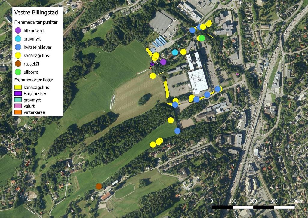 Figur 2: Oversikt over fremmedarter