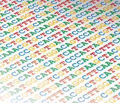 Eksempel: DNA-analyser DNA-sekvenser kan representeres som veldig lange tekststrenger.