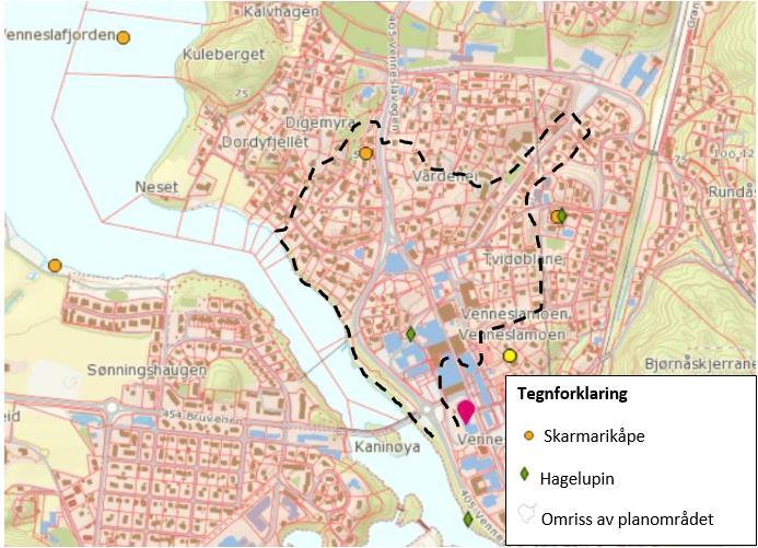 Figur 35: Illustrerer arter innenfor planområdet. Kilde: miljøstatus, 2017 6.