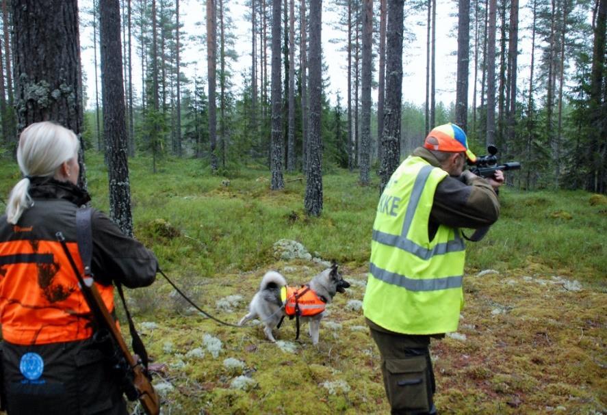 NJFF bidrar til human jaktutøvelse Utdanner jegere NJFF utdanner rundt ¾ av alle jegere årlig (ca 9000 i 2017) Egen jegerprøvebok