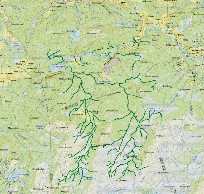 Figur 2. Øvre del av Trongdøla (grønn uthevet strek), definert til vannforekomstnummer 127-134-R. Kartgrunnlag: http://vann-nett.