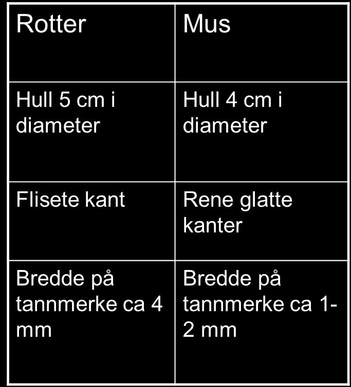 Forebygging mot gnagere Hvor mange dyr? Det er viktig å få en oversikt over infestasjonens størrelse for å kunne velge riktig bekjempelsesmetode og antall feller.