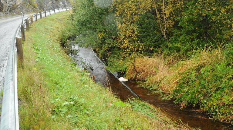 Figur 11. Innløpselven til Hundvatnet fra vest renner langs veien før den går noe brattere ned mot innsjøen.