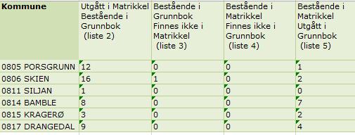 Rapport 6. Avvik matrikkel - grunnbok Ved avvik kan feilen ligge enten i matrikkel eller i grunnbok.