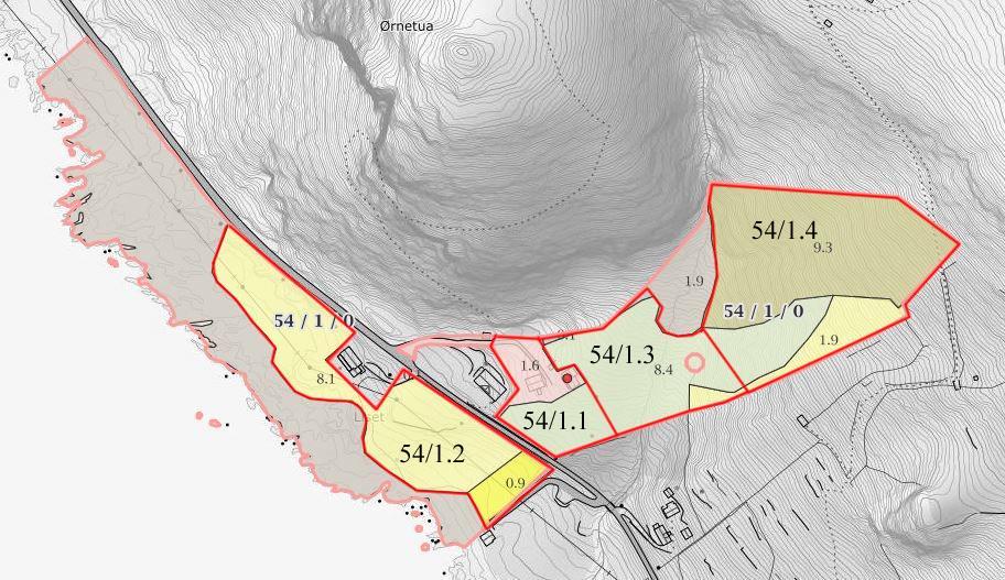 27 6.1 Liset 54/1 Gårdsbruket har i henhold til www.skogoglandskap - gårdskart: 46,9 daa grunneiendom (fig. 15).