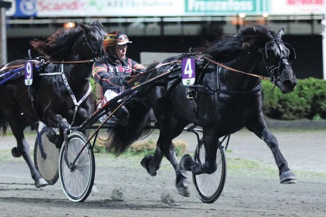 Travgalla 2018 Kaldblodshester: Årets 3-åring: Ros Son (kr. 117.500, - 14 starter 2-3-1 29,1) 2 seirer 2 på orus Eier: Trener: Kusk: Oppasser: Odd S.