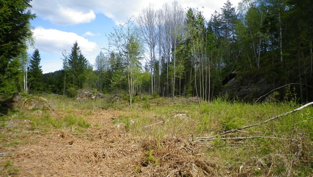 Rygh i Norske Gaardnavne. Gårdsnavnet Tronstad blir første gang nevnt i skriftlige kilder i 1393.