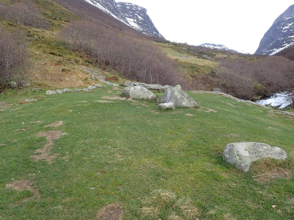 Platået ved Storsæterfossen har grasmark som såvidt tåler slitasjen fra turistene.