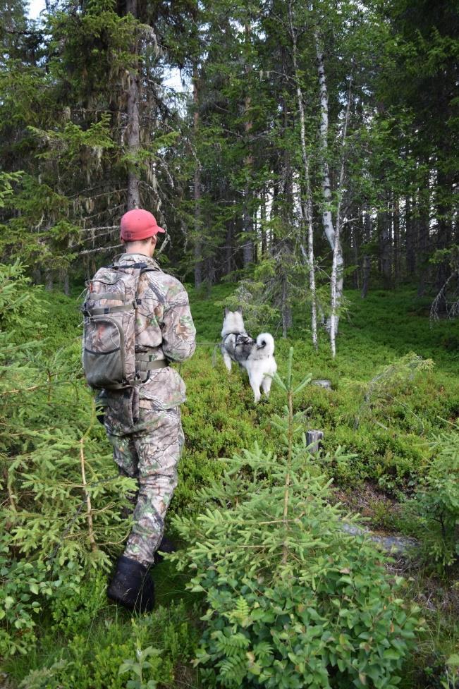 Ragnar oppfylte dermed kravene til NJ(B)CH!