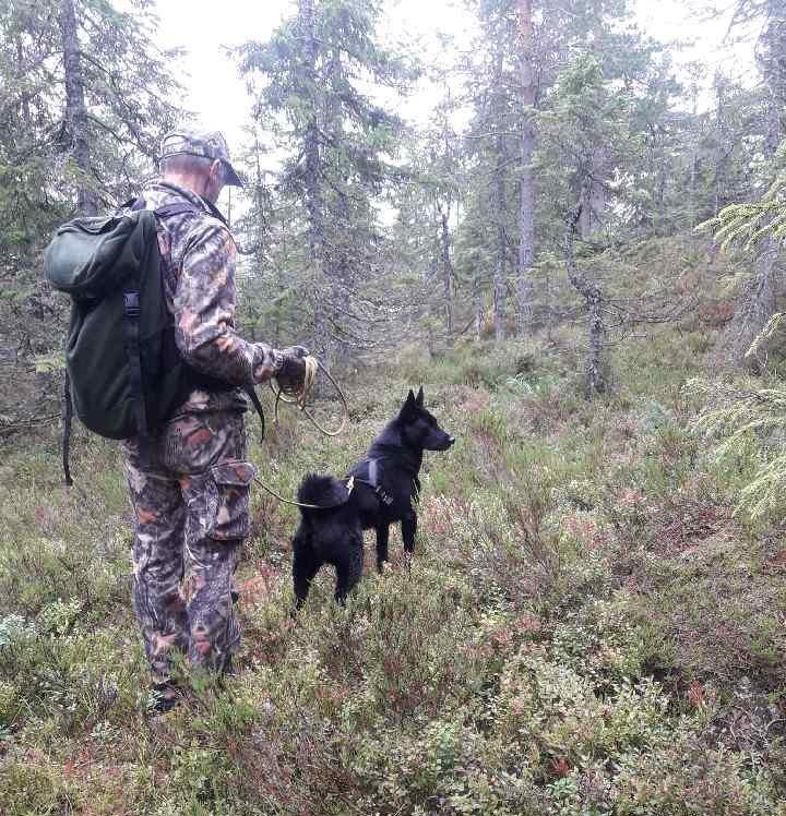 Resultater Odalsprøva Da er Odalsprøva gått for denne gang, med 5 ekvipasjer til start.