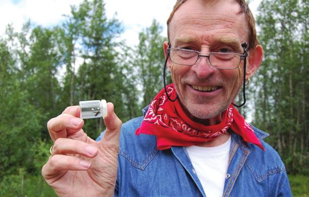 Jeg grep håv og sekk og vasset utover myra. En myrhauk flakset bort over furukronene, noen ravner skrek sitt skurrende «Koorrrp! Koorrrrp!» men det var smått med fluer.