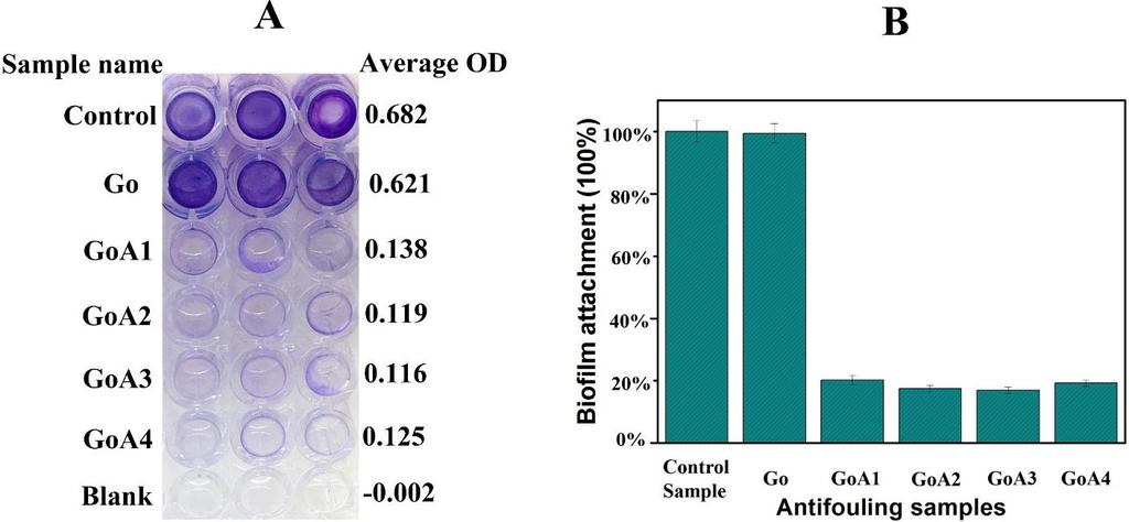 Sensorer overflatebeskyttelse Antibegroings material: Graphene oxide / silver nanocomposites (GO/Ag) Antigroingsegenskaper til GO/Ag nanokompositter mot H.