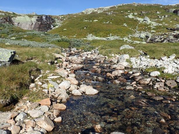 Dette vil gi økt vannføring i bekken, som da kan bli mer aktuell som gytebekk for auren i Torfinnsvantet.