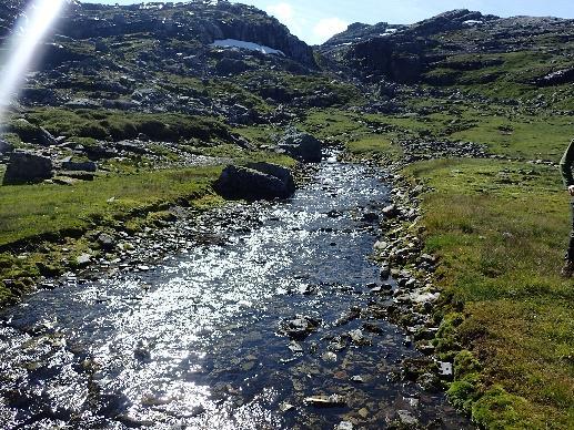 5. Gili Ingen fisk observert under el-fiske. Enkle oppvandringsmuligheter på alle reguleringshøyder. Det er sannsynlig at omfattende gyting foregår her på høsten, men at yngelen ikke overlever pga.