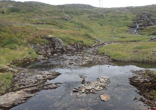 vanskelig/umulig for aure. Fisk fra Vetle Askjelldalsvatnet kan vandre ned denne bekken. 3.