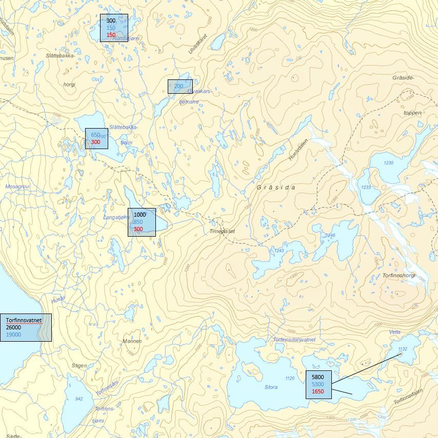 Figur 23. Kart over utsettinger i vann som drenerer til Torfinnsvatn i Gråfjella siden 24 fra Voss klekkeri.