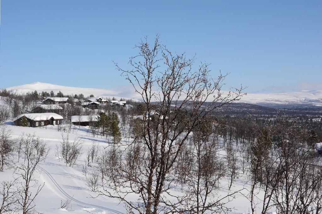 Drømmepåske Tenk å spenne på deg skiene utenfor hyttedøren og gå innover fjellet til dette synet.