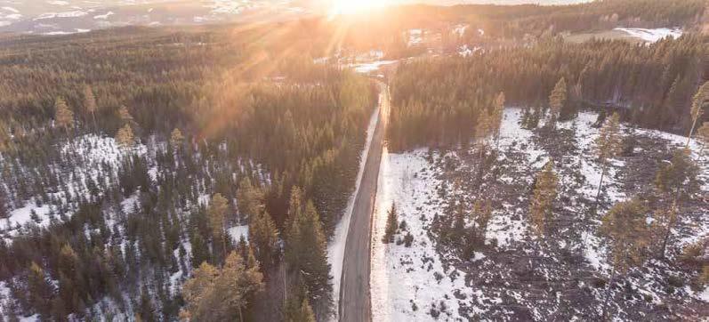 De ulike deler av veden har ulike egenskaper Ung fører i gang med å fylle drivstoff Foto: Gro Bruskeland Leketog i Kjerneved oppstilt i Haugenparken i Songdalen kommune Foto: Andreas Birkeland Norge