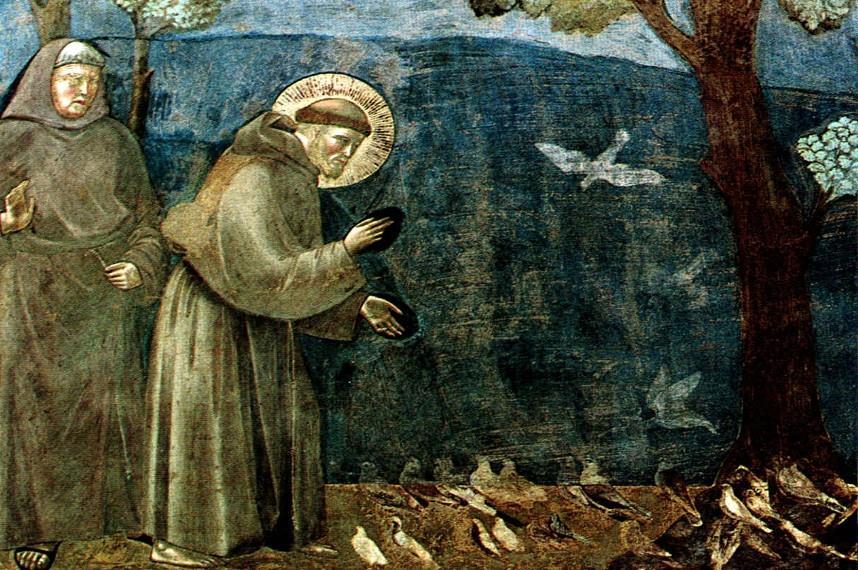 Den hellige Frans av Assisi minnedag 4. oktober I anledning 4. oktober, dagen for den hellige Frans av Assisi, kan vi alle bli minnet om vårt oppdrag i Kirken.