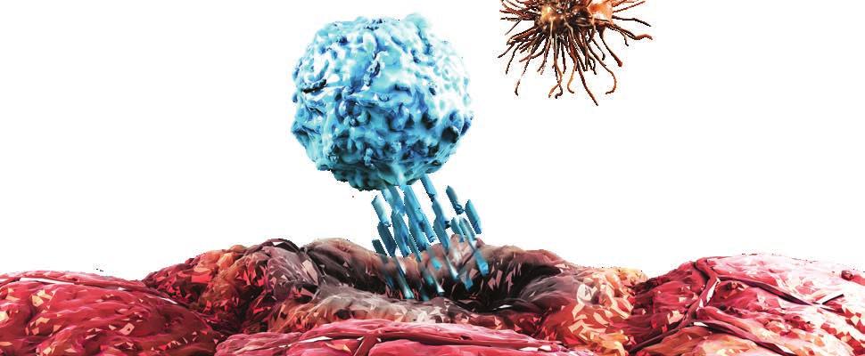 tumorinfiltrerende immunceller (6)