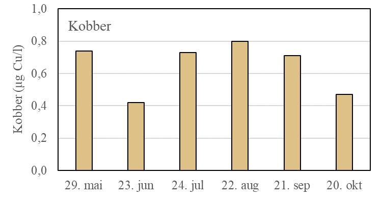 TUNGMETALLER Innholdet av kobber i overflatevannet i Storavatnet varierte gjennom observasjonsperioden.