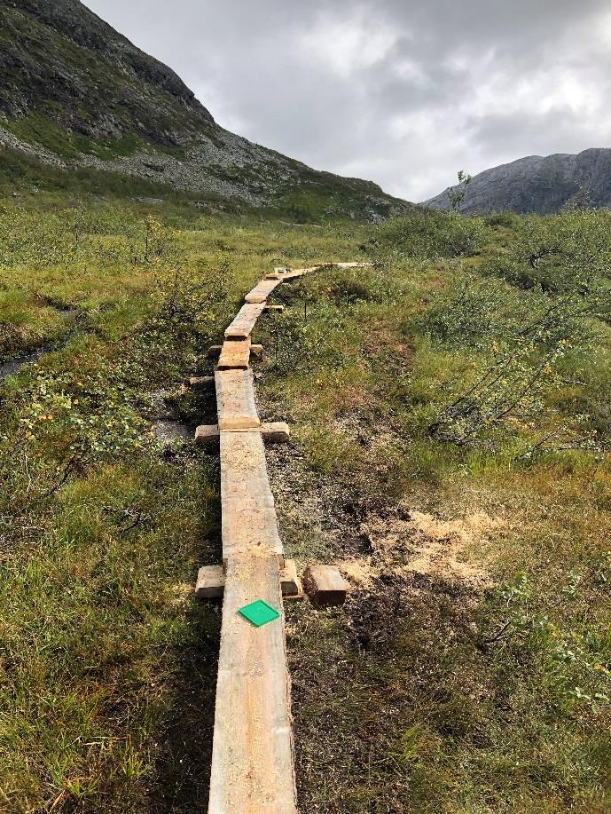 Nærhet til jernbanestasjon på Majavatnet er også medvirkende årsak til trafikken på denne stien.