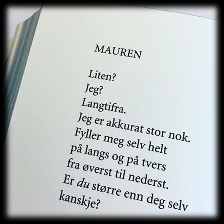 Innhold 1. Innledning s.3 2. Maurtua vår 2018 s.4 Personalet og barnegruppa Uka på Maurtua s.5 3.