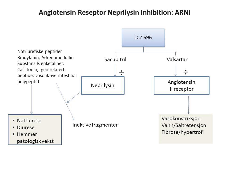 Figur 1 viser effekten av sacubitril-valsartan (LCZ 696).